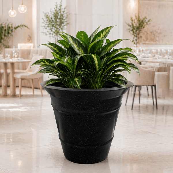 Planter View 4
