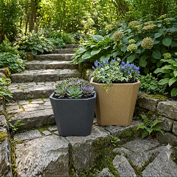Planter View 6