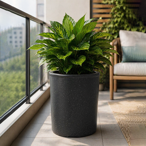 Planter View 2